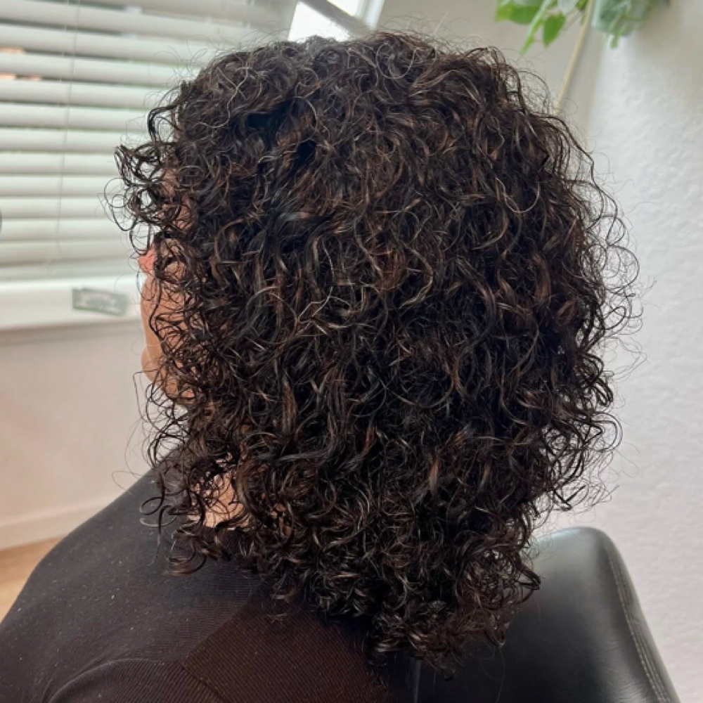 Curly Hair Cut & Natural Styling at Merve Hyde Beauty in San Antonio, TX