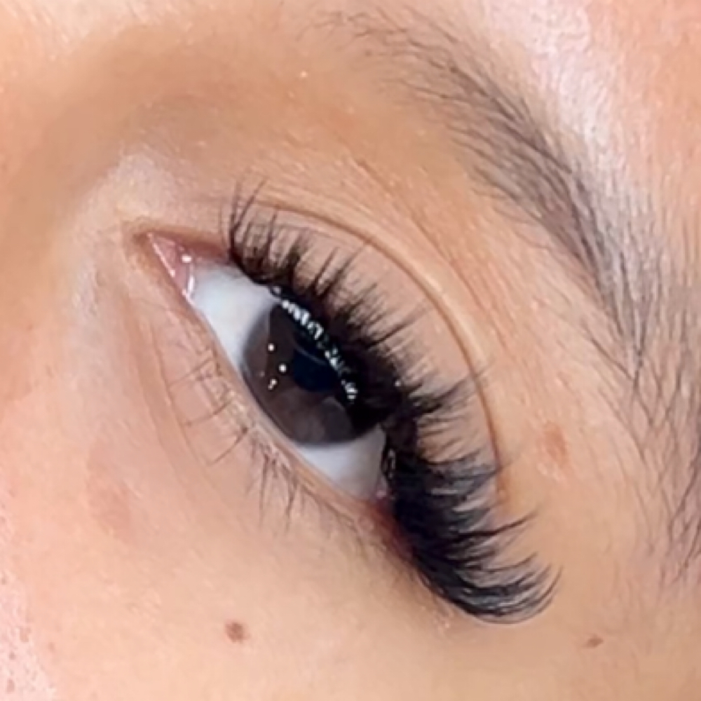 Hybrid Set at Lashed Babe in Albertville, AL