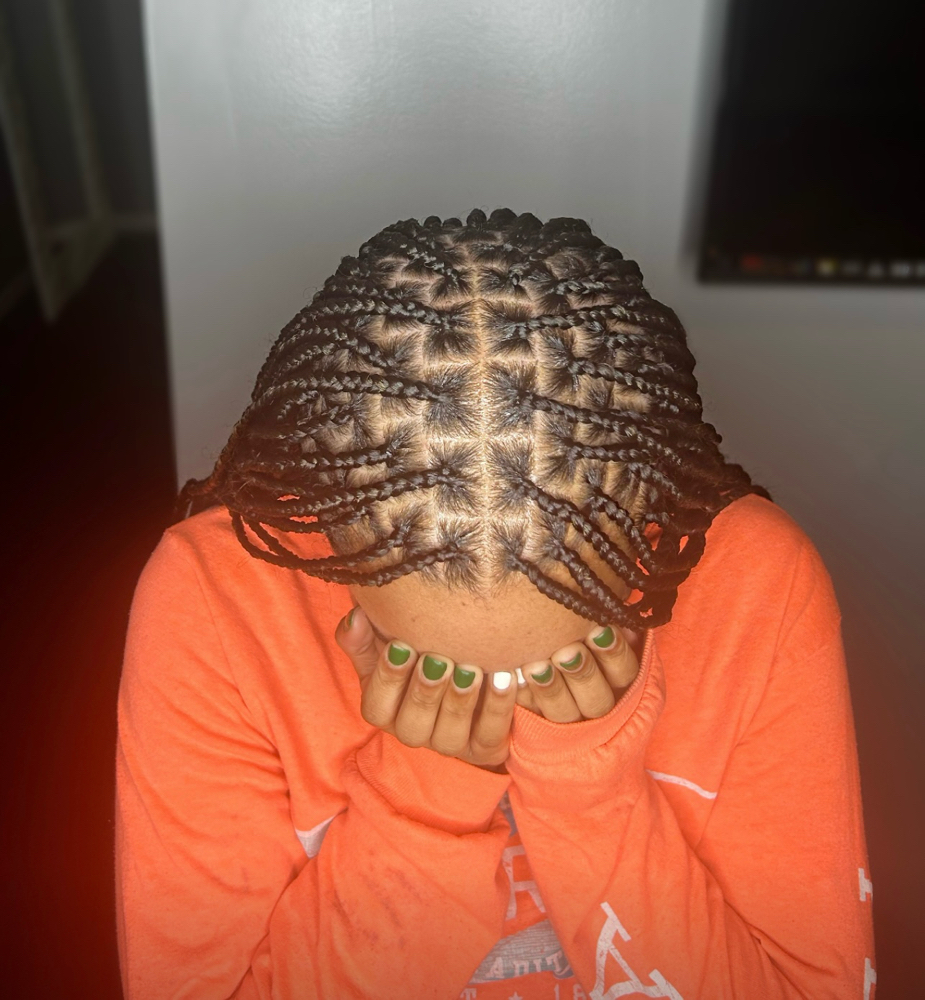 Small Box Braids