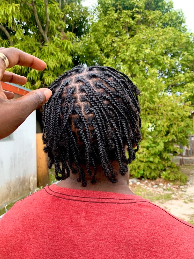 Natural Hair Braid Style-Individual