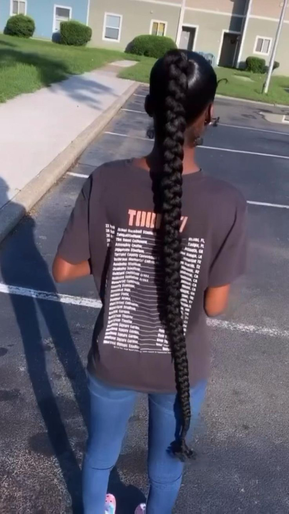 braided ponytail (show me pics)