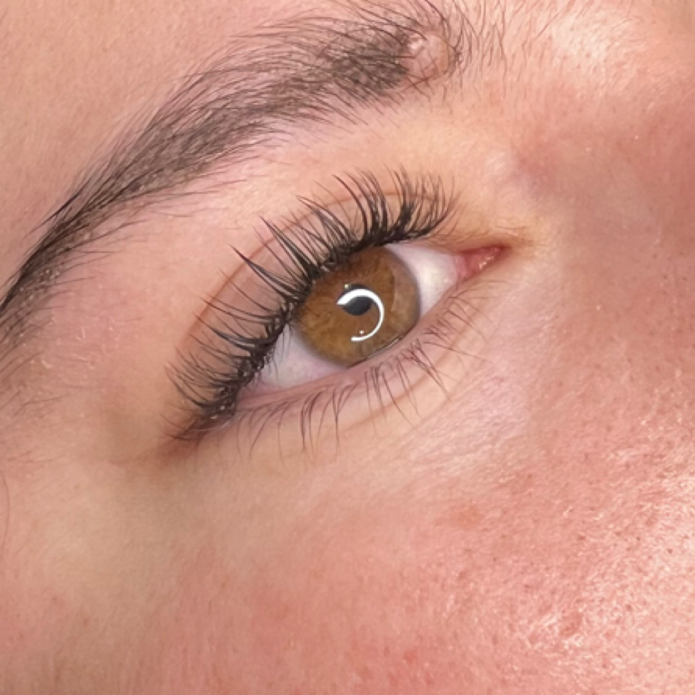 Classic Plus Lash Extensions