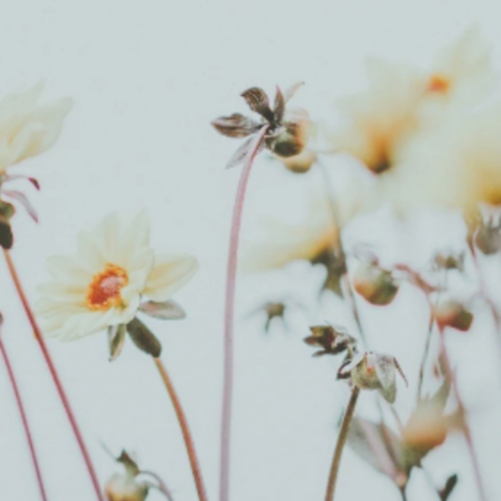 Color Retouch  &  Blowdry at Oxford&Mane in Oxford, NC