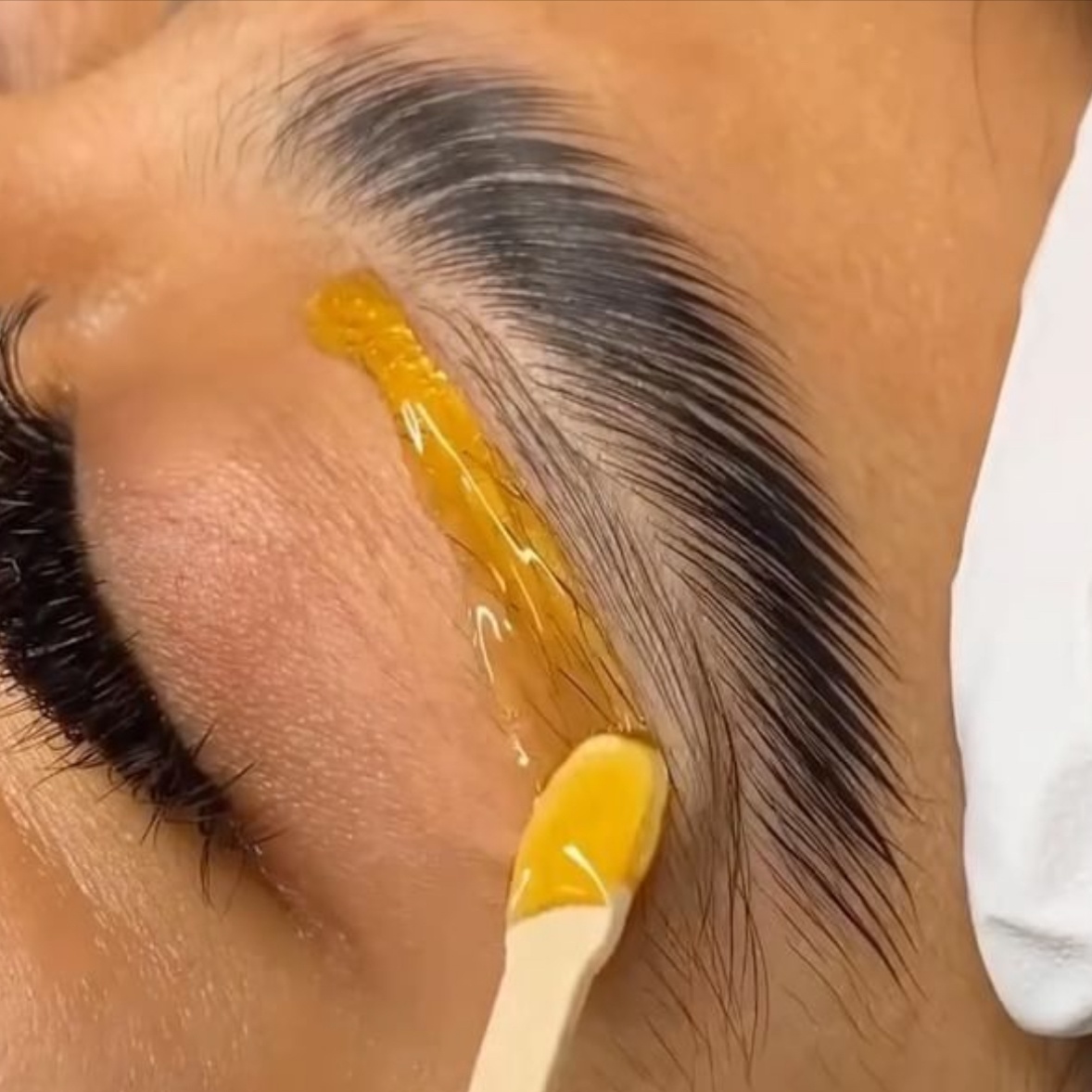 Brow Wax at Anastacia Beauty Lounge in Lake Park, FL