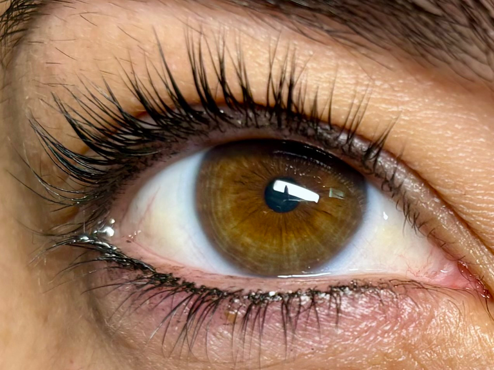 Natural Lashes