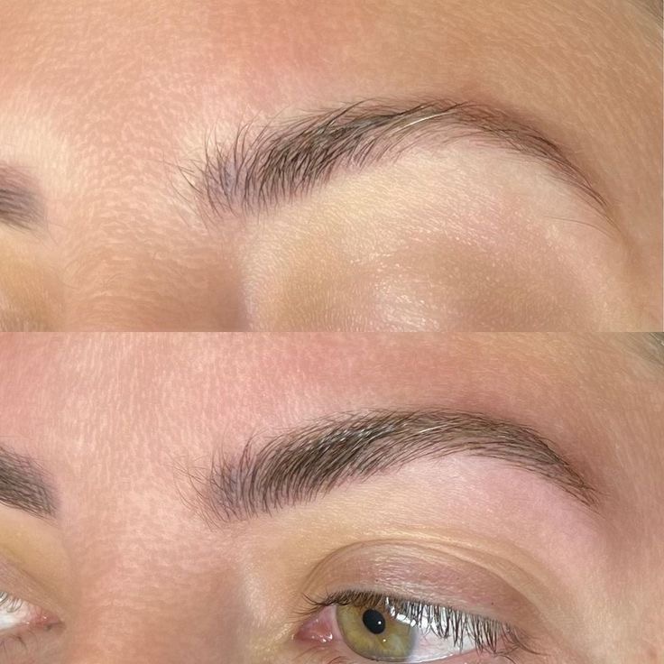 Microblading after 1 year (Existing client)