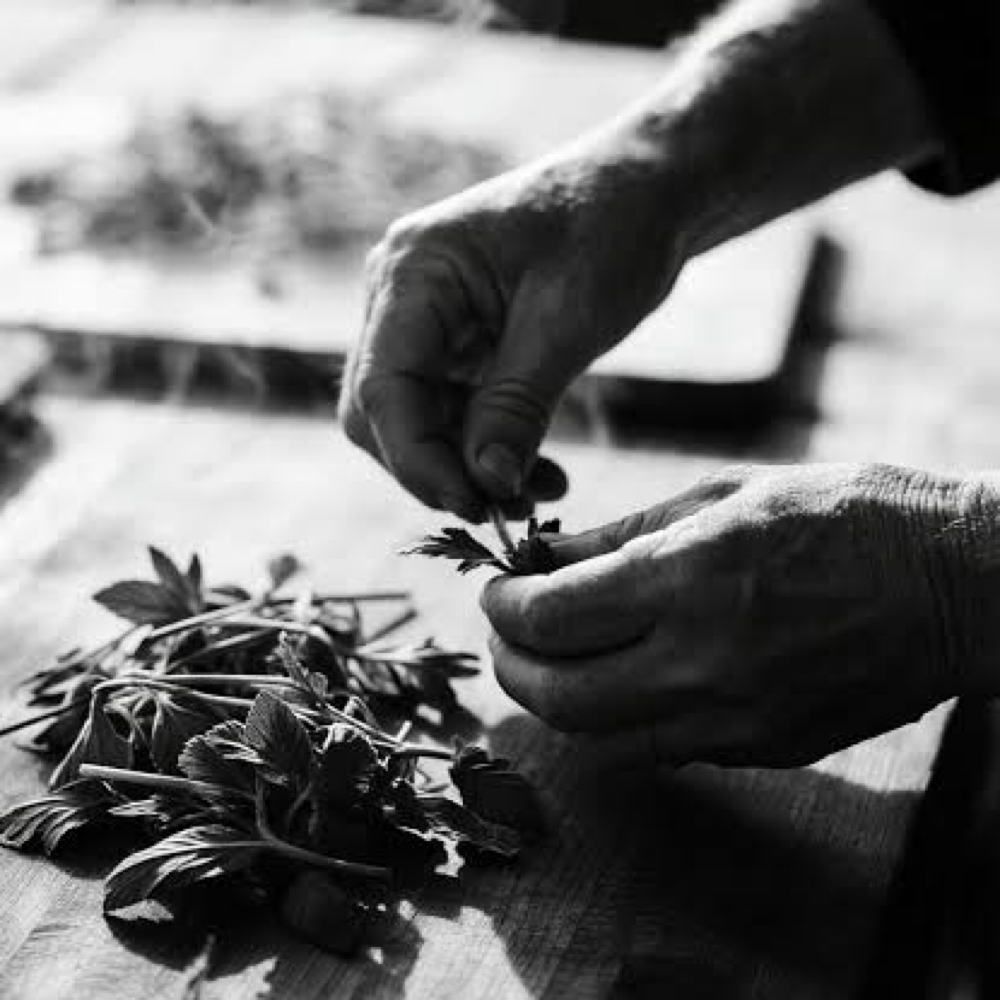 Patch Test at Hex Riot in Asheville, NC