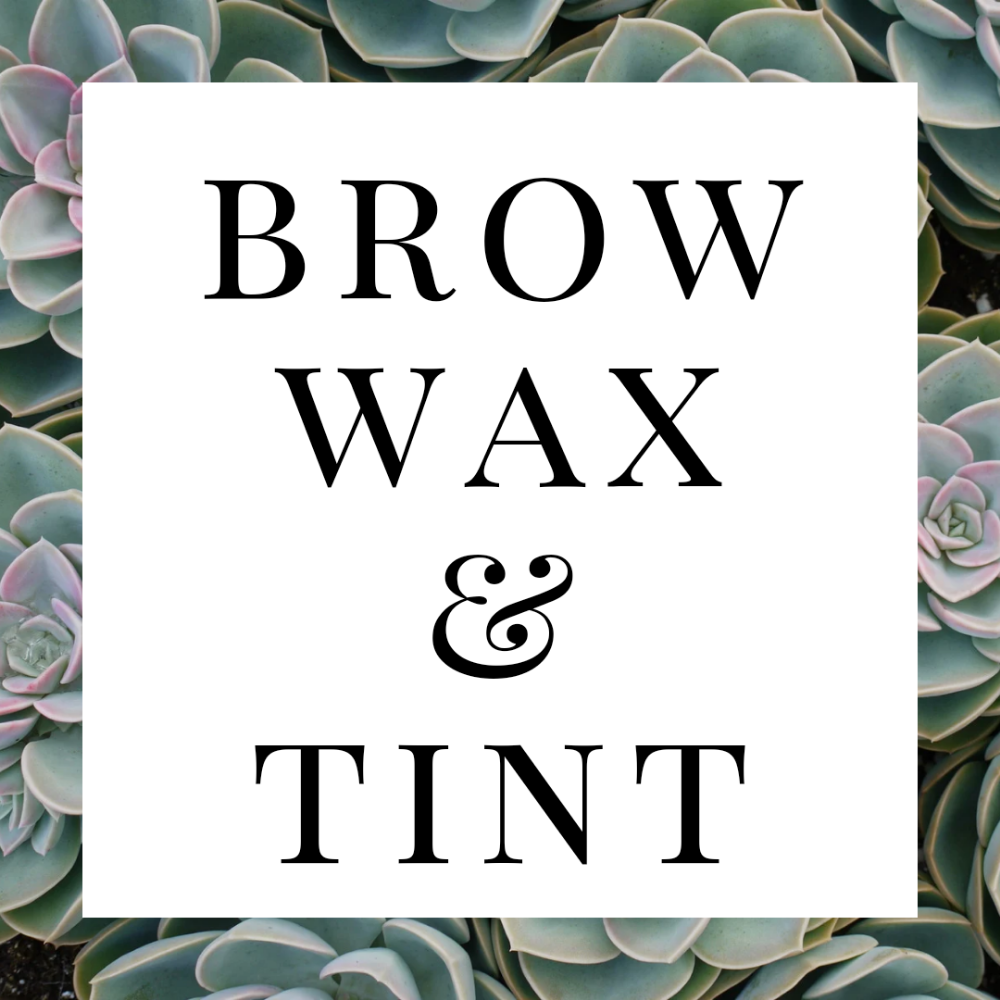 Brow Wax & Tint