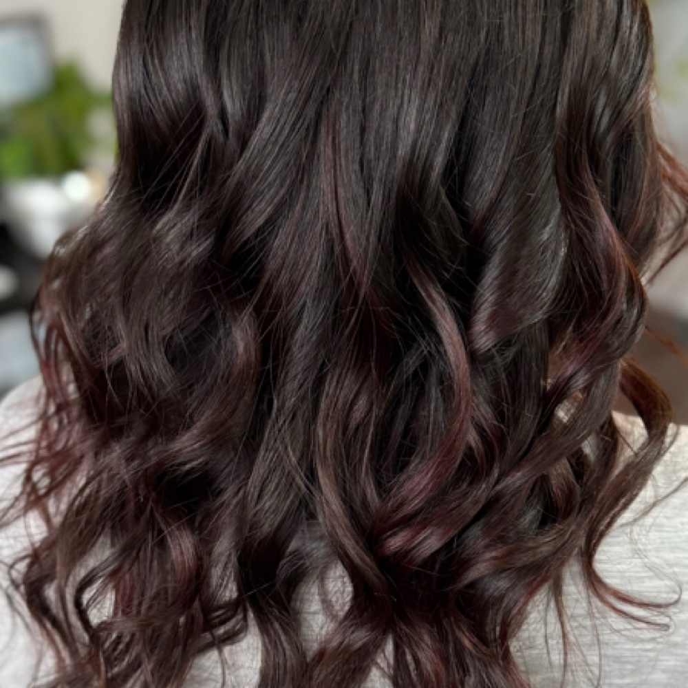 Single Process Color at Tia Bella Hair Studio in Natick, MA