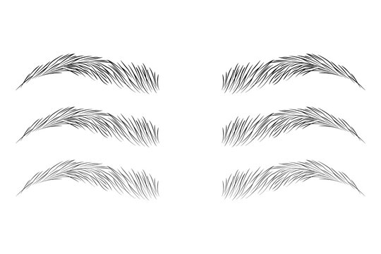 Brow Lamination