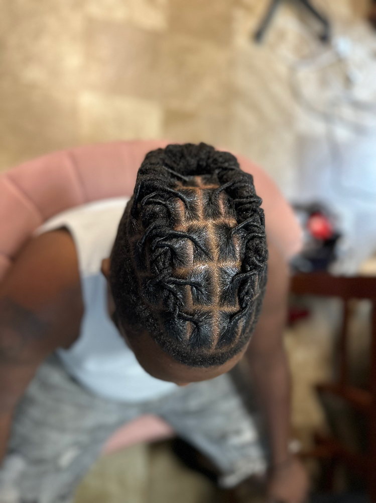 Loc Retwist