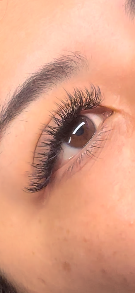 Classic Y-Lash Set
