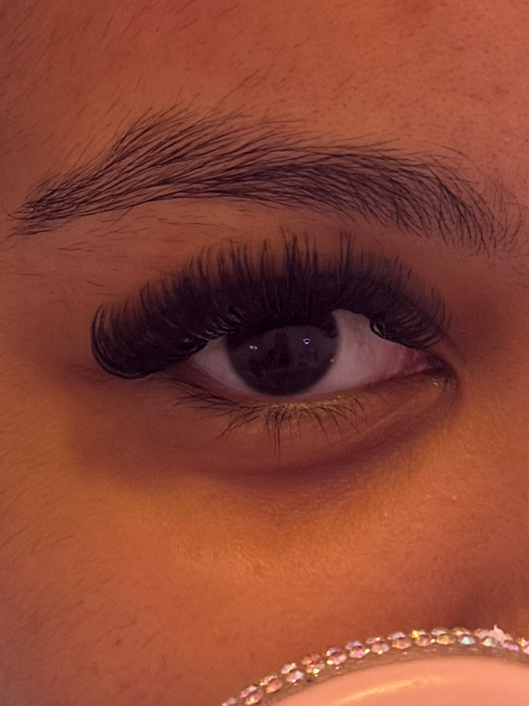 The Luxe Reign 💎 (volume)