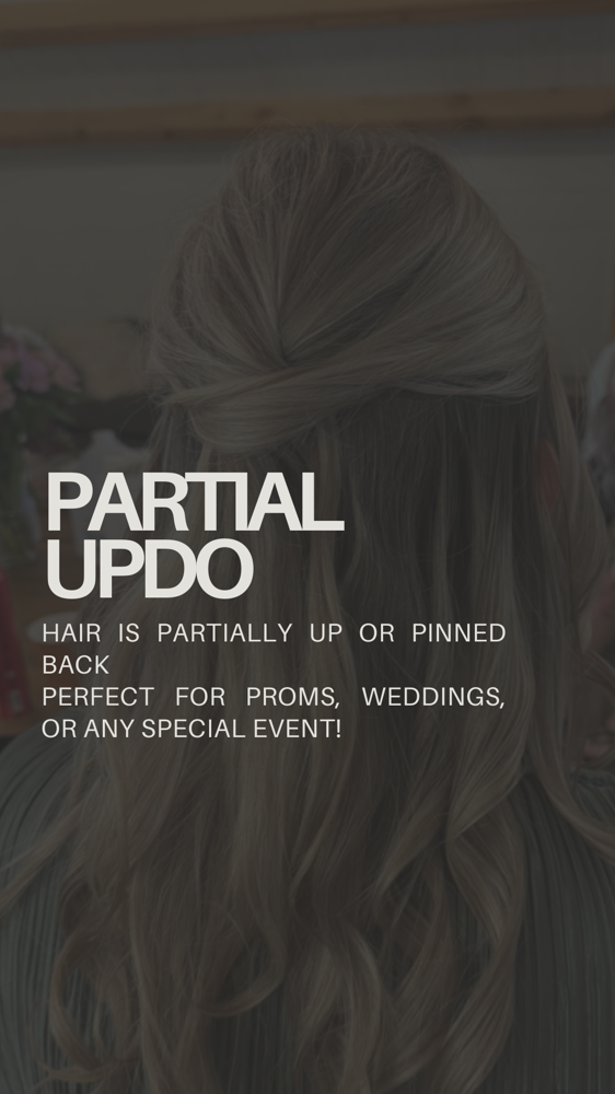 Partial Updo / Specialty Style