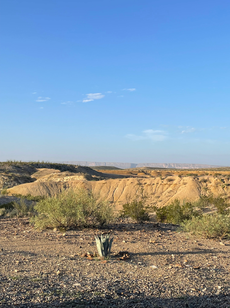 Nail Enhacement Removal at Cowgirl Beauty in Gainesville, FL