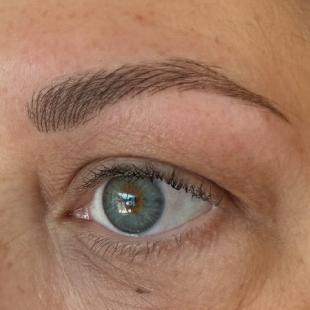 Initial Brow Service at Alex @ Blade Babes Aesthetics in Hernando, MS