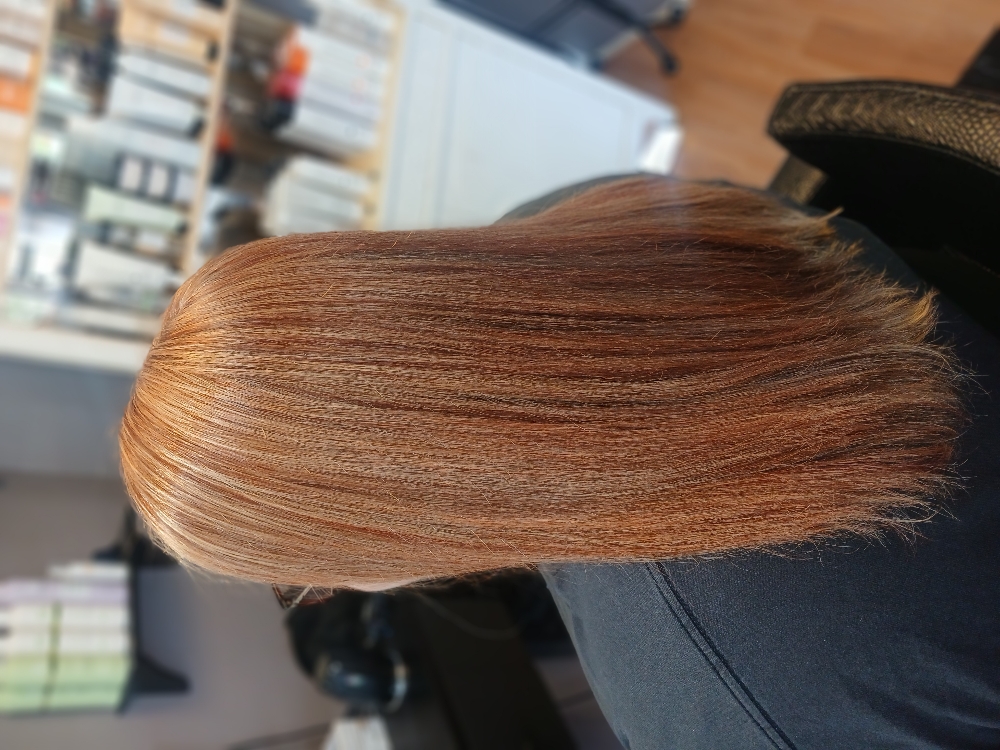 Roots & Foils Bundle