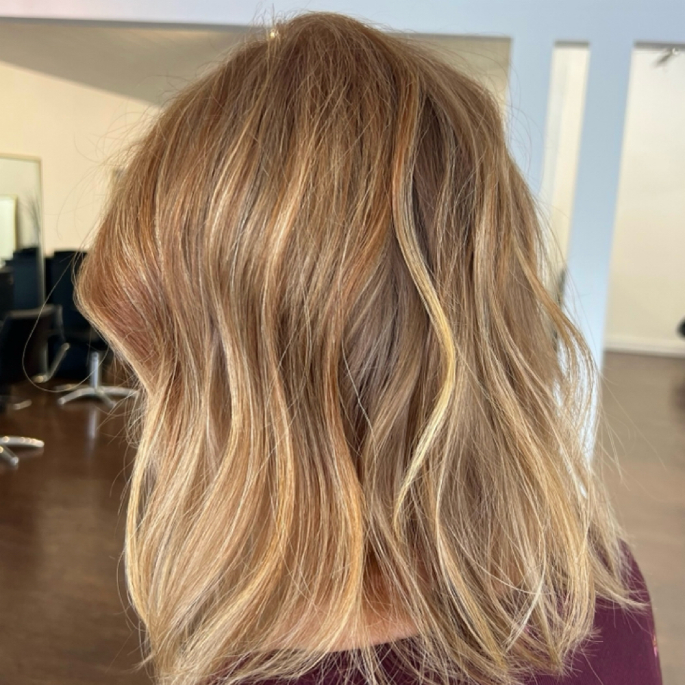 WOMENS HAIRCUT ( Promo) at Salon Presley in Cicero, NY