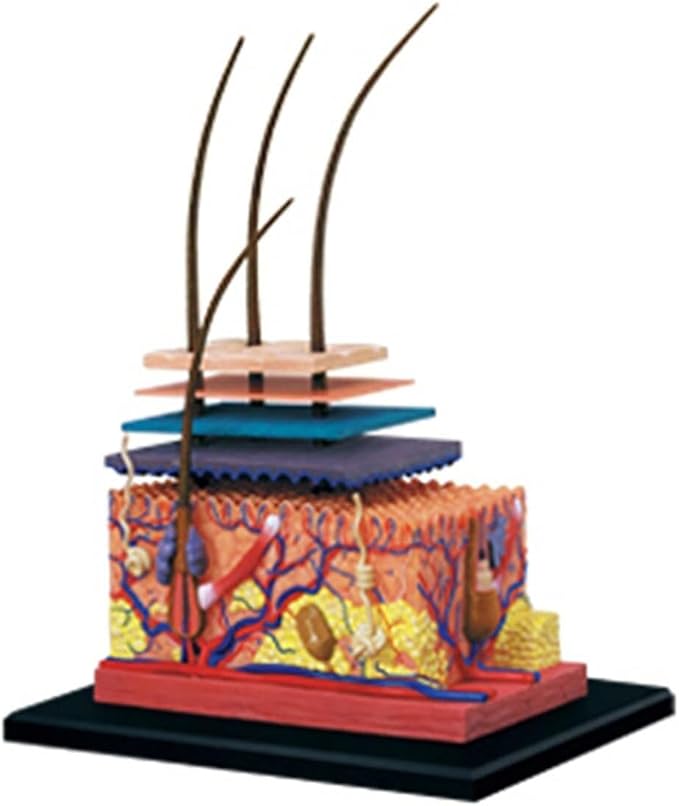 Hair Loss / scalp Treatment