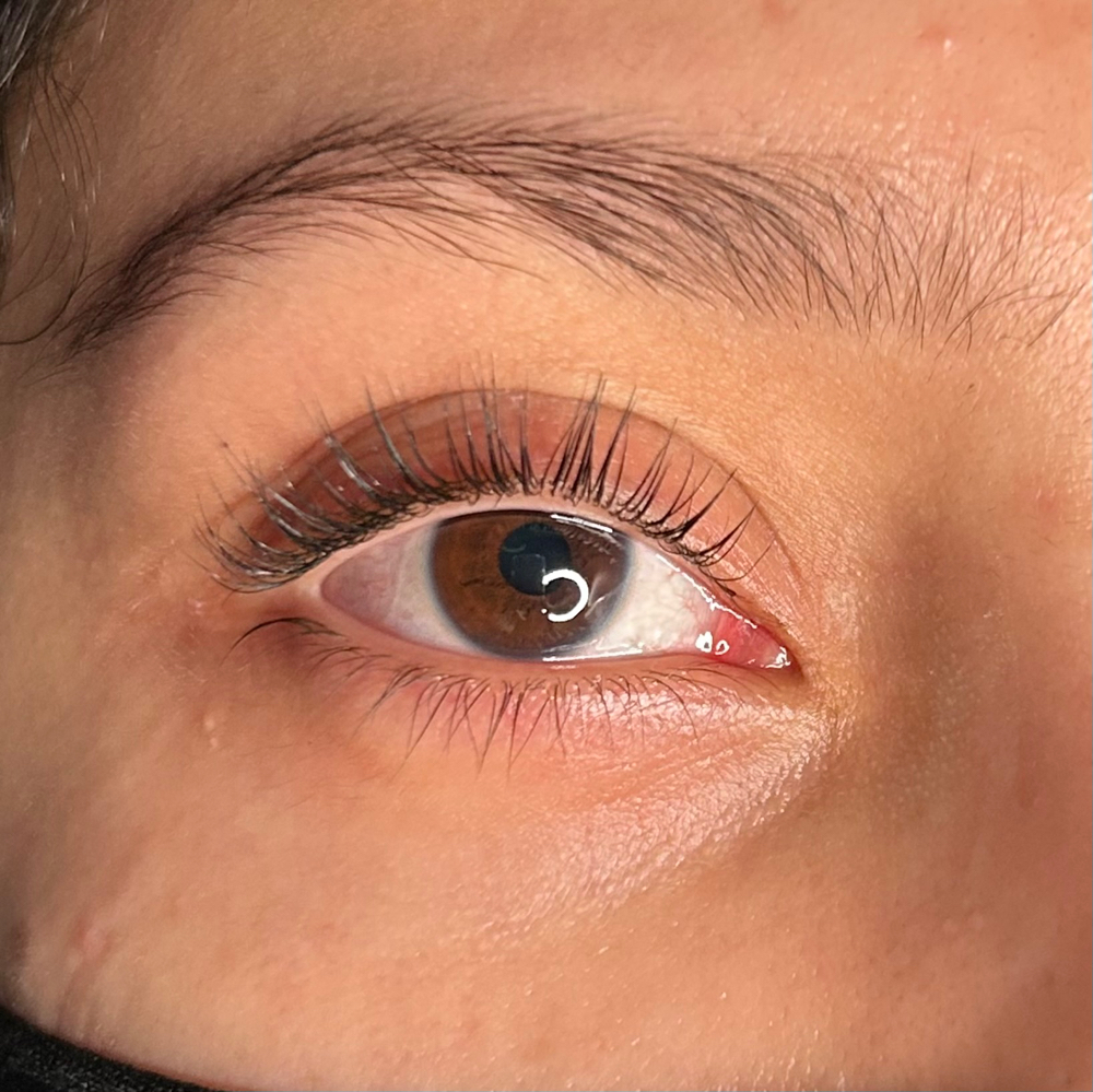 Lash Lift + Tint