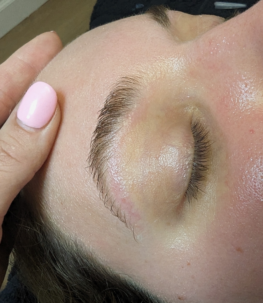 🎄HOLIDAY BROW SPECIAL