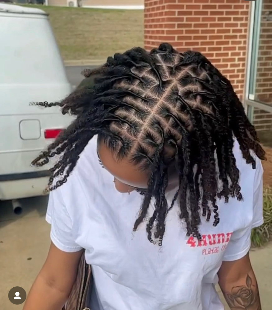 Adult Retwist