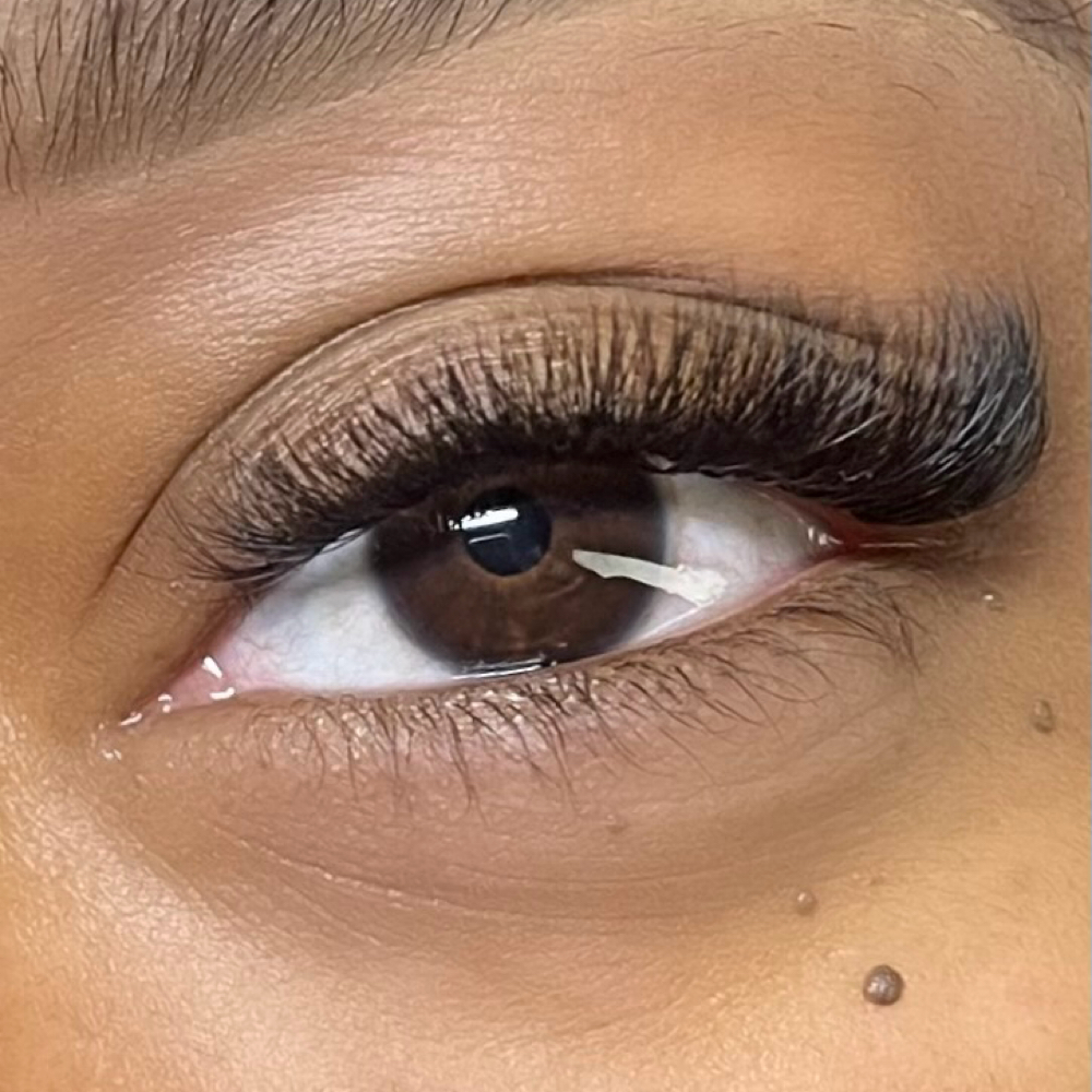 Soft Volume Lashes: Full at Barefaced Beauty Bar in Katy, TX