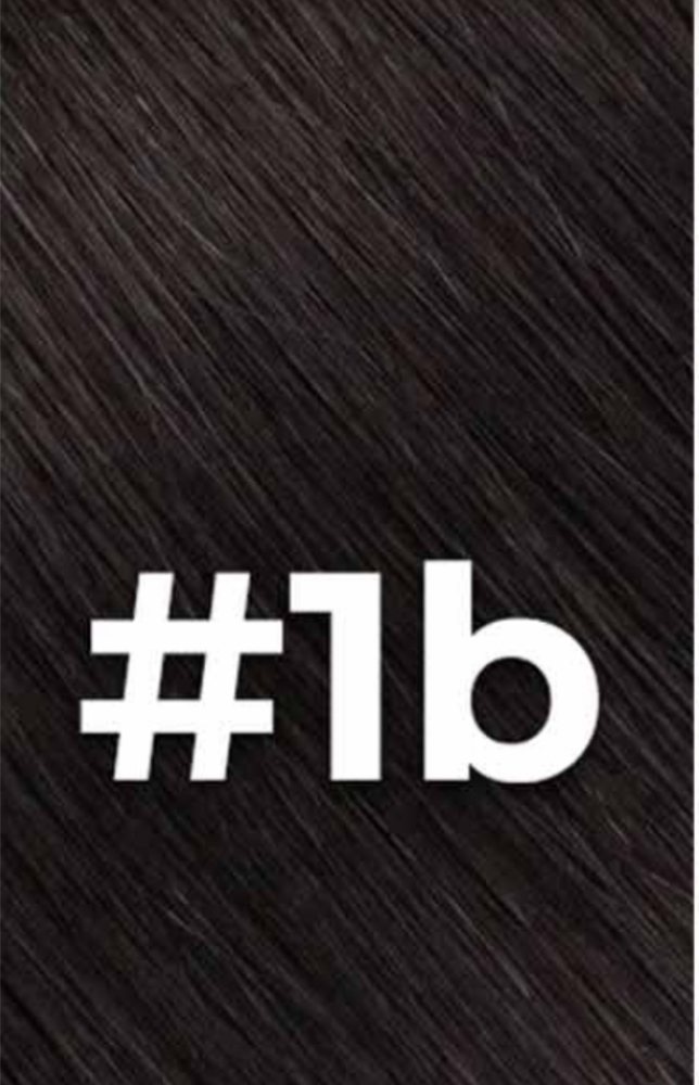 1b at Hair By La in Akron, OH