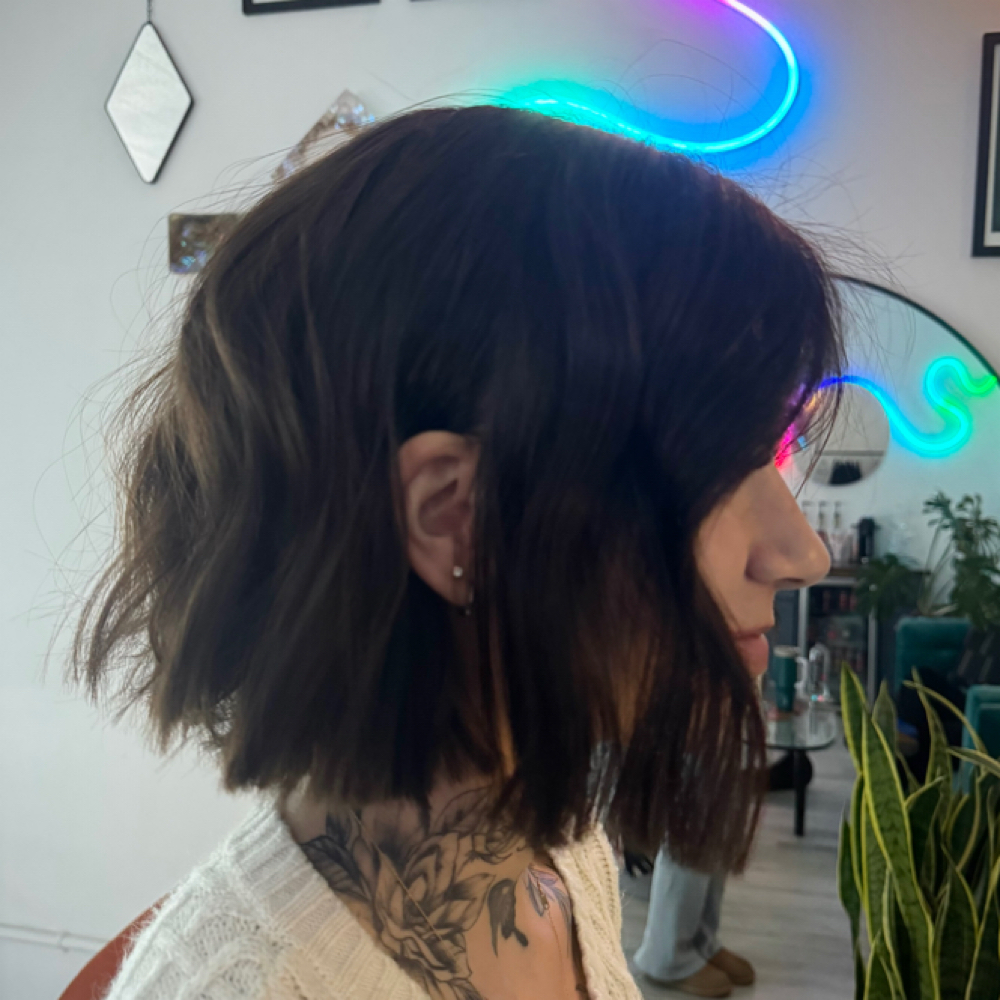 Womens Haircut at Brandi Skyy in Wheat Ridge, CO