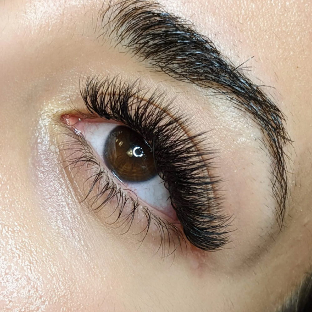 Volume Lash fill (2-3 weeks) at TulipsFx Studio in Thousand Oaks, CA