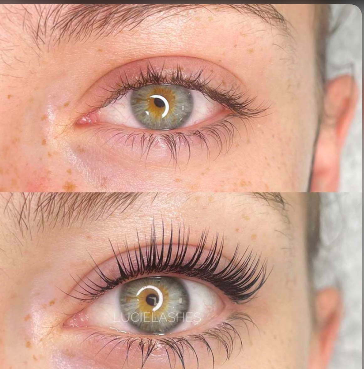 Lash Lift and Color.