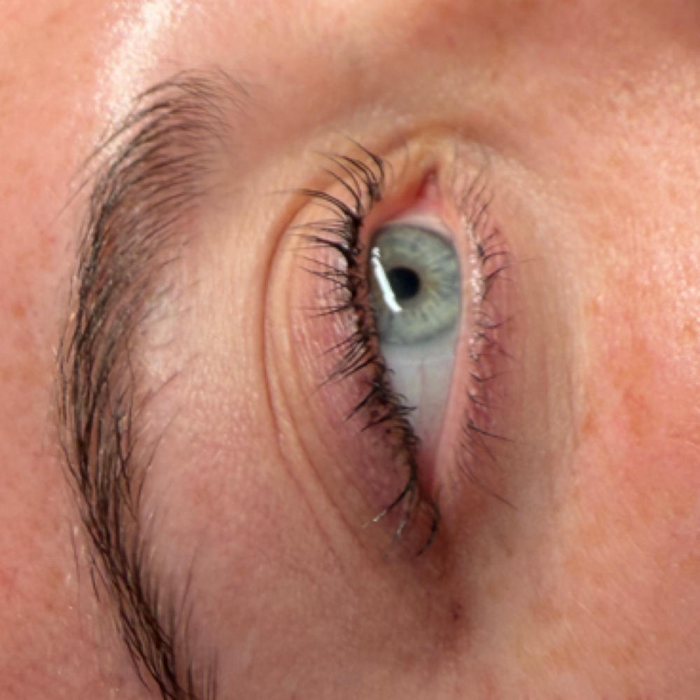 Lash Lift And Tint at Perfectly Imperfect in milan, MO