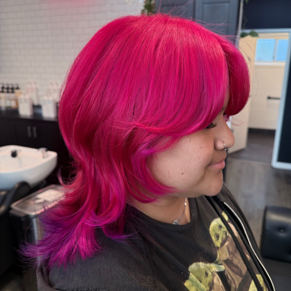 Fantasy Color Touch-up + Rebalance at BusyScissorhands in Vista, CA