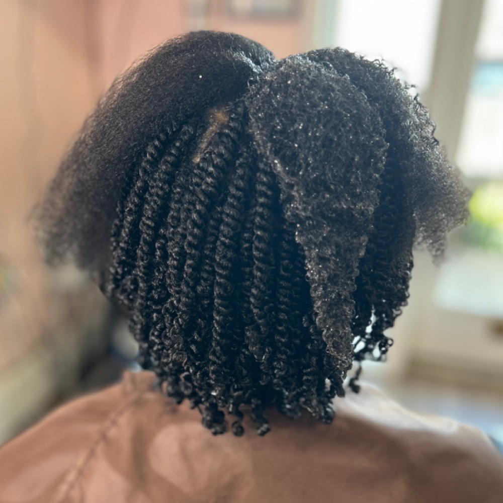 Wet Set Mini Two Strand Twists at Eden Holistic Hair in Hendersonville, TN