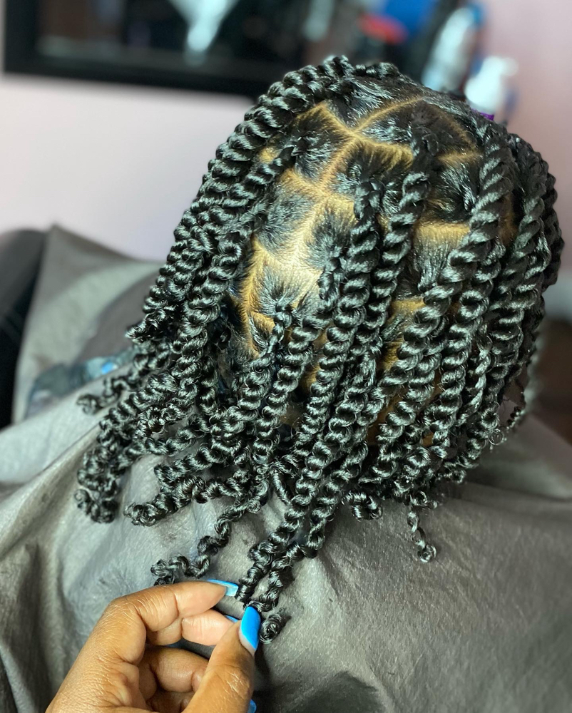 Natural 2 Strand Twist at LUXE HAIR CARE in Mesquite, TX
