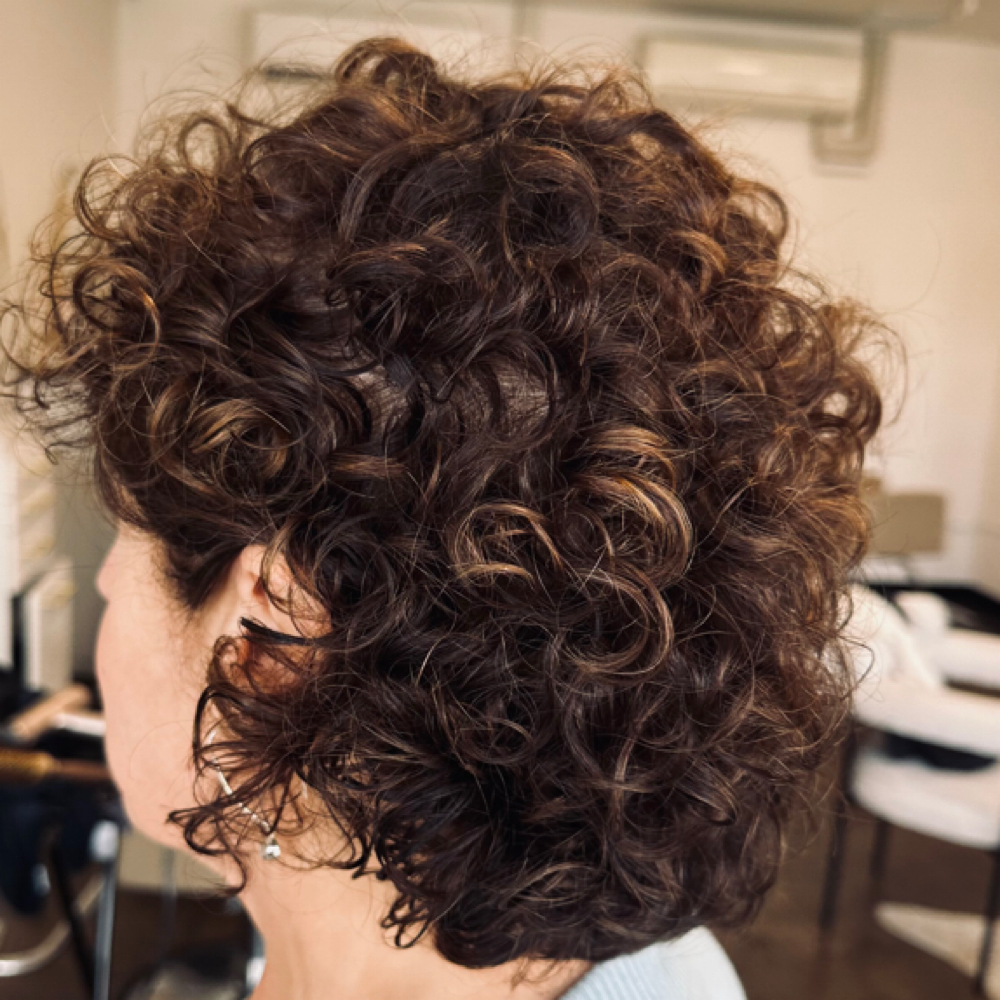 Luxury Root Touch-Up + Cut + Style at Hair By Sara LeAnn in Pleasanton, CA