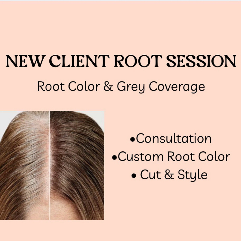 NEW CLIENT ROOT SESSION at Pin And Tonic Salon in Fort Mill, SC