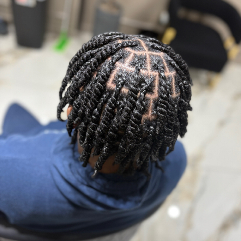 Two Strand Twist at Hands Of Beauty By Kevionna in Racine, WI