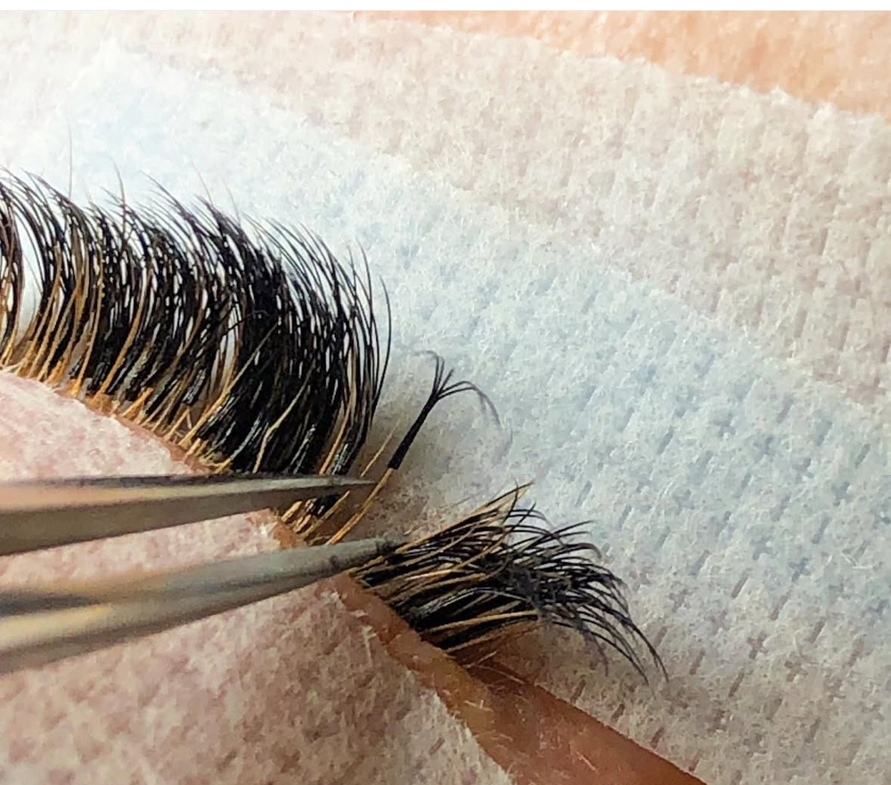 New Lash Fill