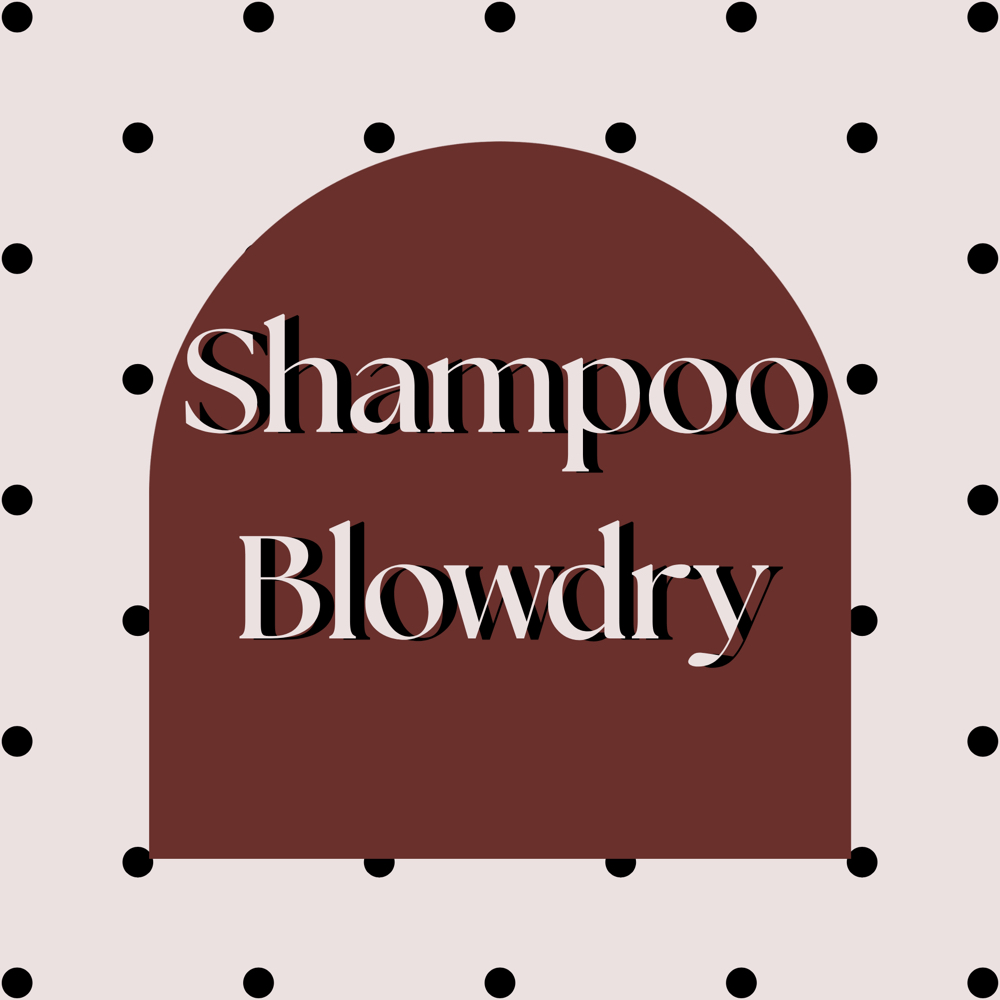 Shampoo Blowdry at Pretty On Purpose in Lascassas, TN