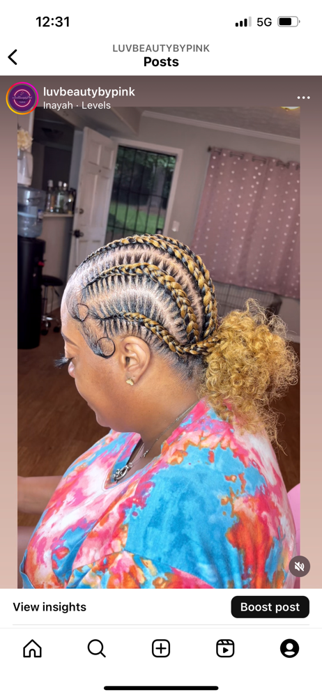 6 Stitch/ butterfly braids
