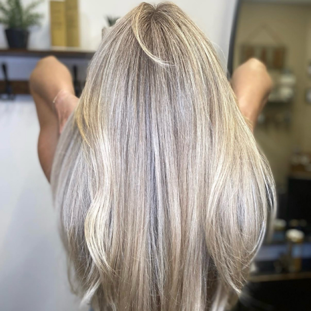 Gloss & Tone at Wild Roots Hair Studio in Solana Beach, CA