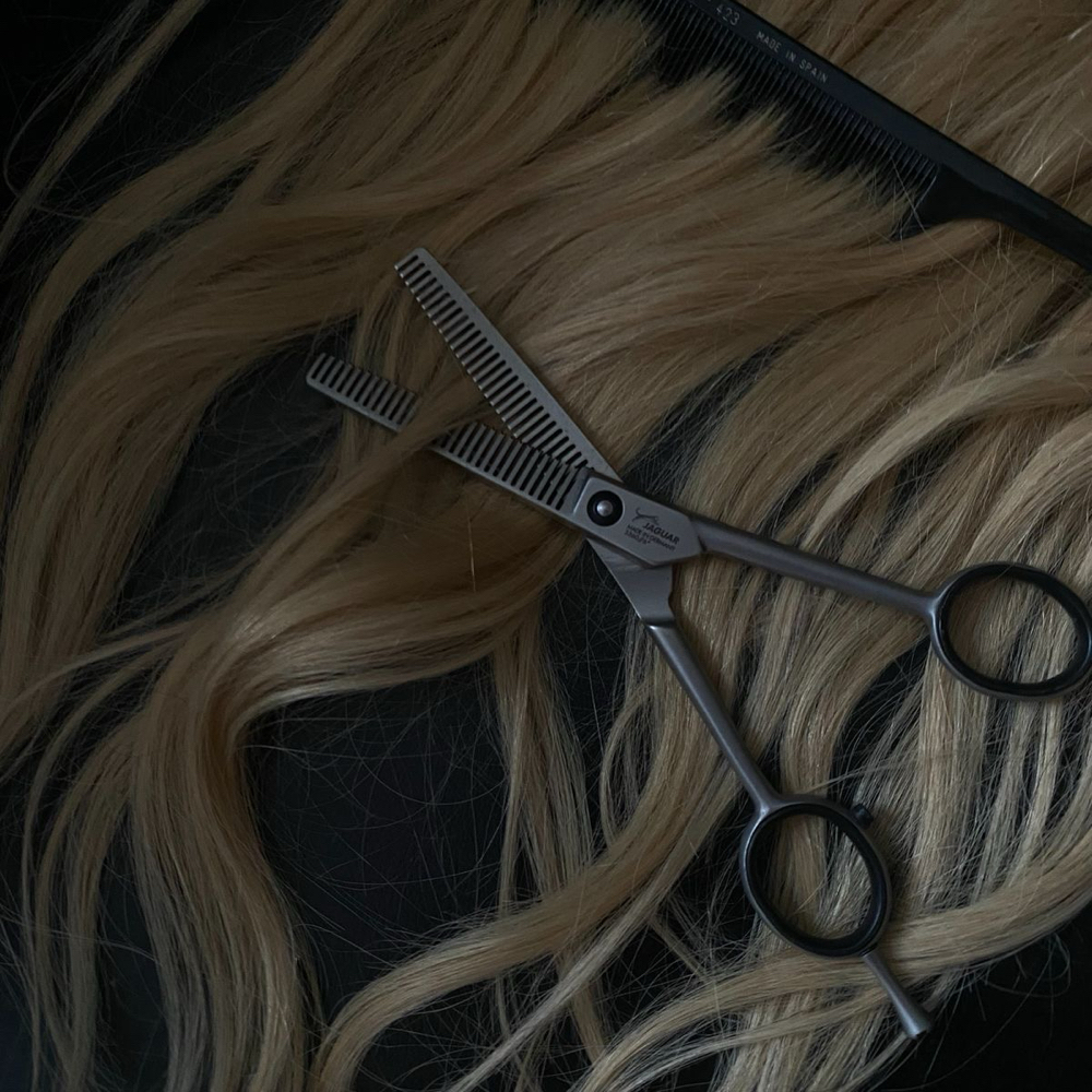 Haircut (No Blowdry) at Courtney Demers in Estero, FL