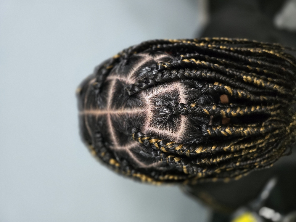 Large Knotless Box Braids