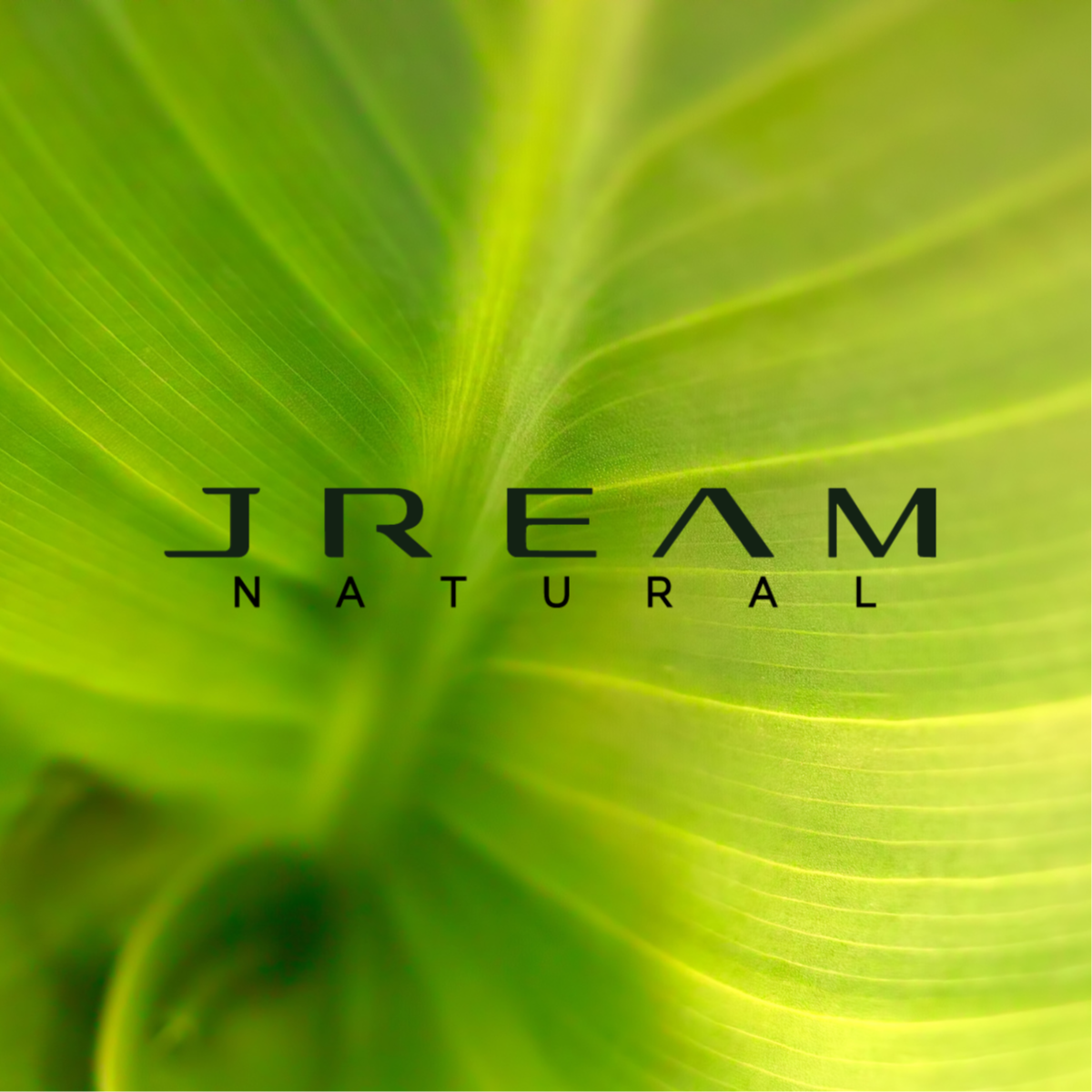 Summer Oasis Facial at Jream Natural in Fort Lauderdale, FL