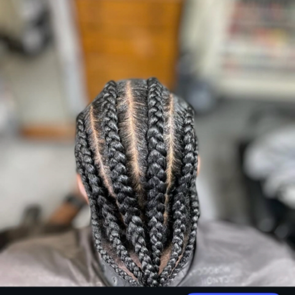 Natural Corn Braids 6x at Primps Custom Care in West Hempstead, NY