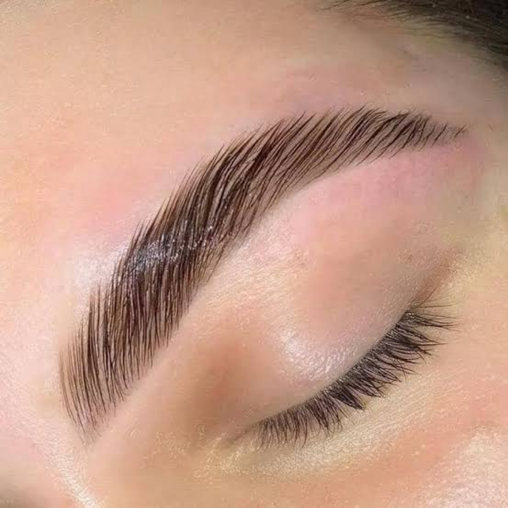 Eyebrow Lamination and Tint at Anchors Aweigh Spa in Spring, TX