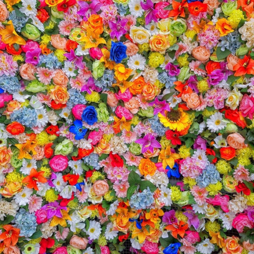 Spring Refresh Facial at Blush Esthetics and Beauty Bar in Griffin, GA