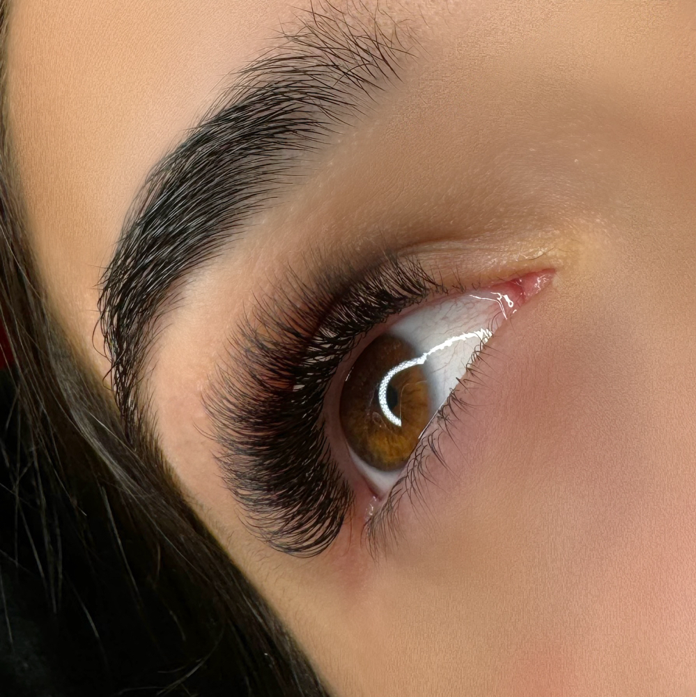 Lash Fill