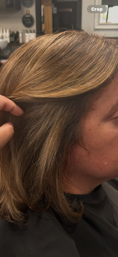 Salon/Color touch up